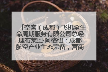 空客（成都）飞机全生命周期服务有限公司总经理布莱恩·阿格纽：成都航空产业生态完备，营商环境优势显著