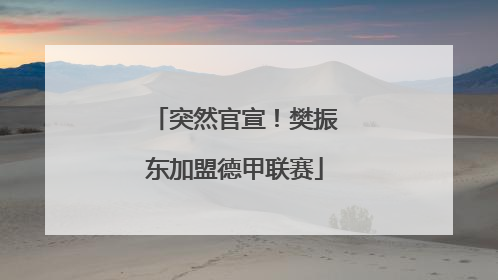 突然官宣！樊振东加盟德甲联赛