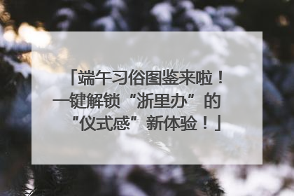 端午习俗图鉴来啦！一键解锁“浙里办”的“仪式感”新体验！