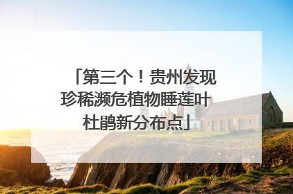 第三个！贵州发现珍稀濒危植物睡莲叶杜鹃新分布点