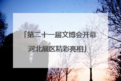 第二十一届文博会开幕 河北展区精彩亮相