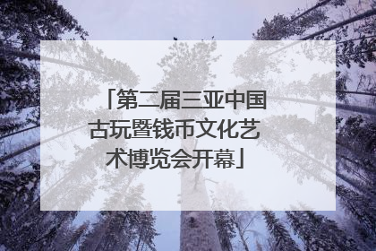 第二届三亚中国古玩暨钱币文化艺术博览会开幕