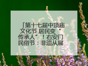 第十七届中顶庙文化节 居民变“传承人”！右安门民俗节：非遗从展柜走进烟火气