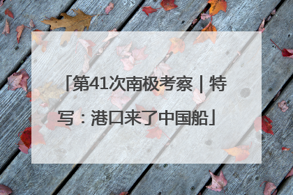 第41次南极考察｜特写：港口来了中国船