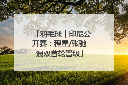 羽毛球｜印尼公开赛：程星/张驰混双首轮晋级