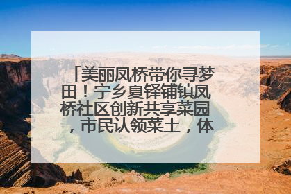 美丽凤桥带你寻梦田！宁乡夏铎铺镇凤桥社区创新共享菜园，市民认领菜土，体验耕种收获乐趣