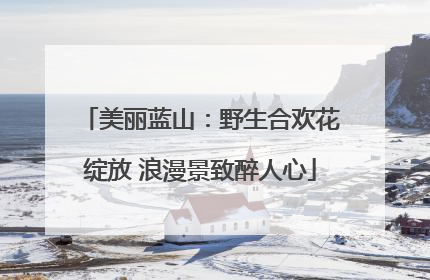美丽蓝山：野生合欢花绽放 浪漫景致醉人心