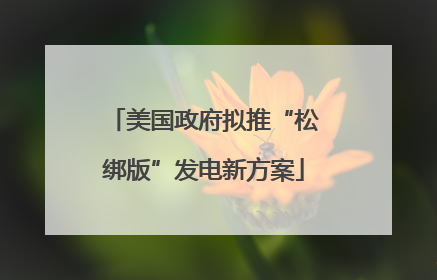 美国政府拟推“松绑版”发电新方案