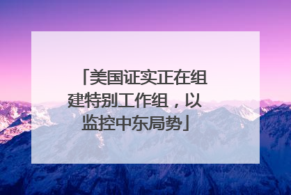 美国证实正在组建特别工作组，以监控中东局势