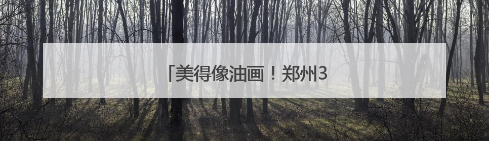 美得像油画！郑州3处睡莲观赏地推荐→