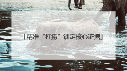 精准“打捞”锁定核心证据
