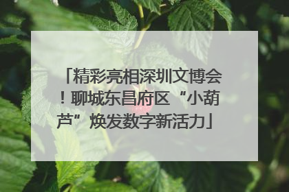 精彩亮相深圳文博会！聊城东昌府区“小葫芦”焕发数字新活力