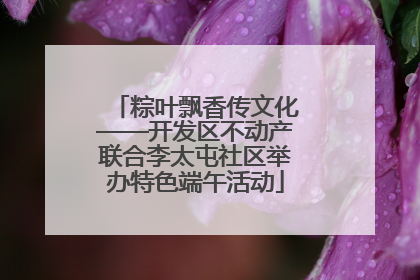 粽叶飘香传文化——开发区不动产联合李太屯社区举办特色端午活动