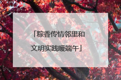 粽香传情邻里和 文明实践暖端午