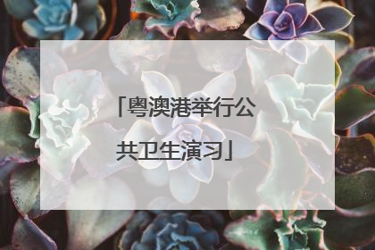 粤澳港举行公共卫生演习