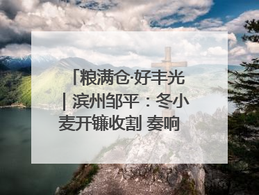 粮满仓·好丰光｜滨州邹平：冬小麦开镰收割 奏响夏日丰收曲