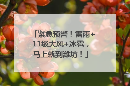 紧急预警！雷雨+11级大风+冰雹，马上就到潍坊！