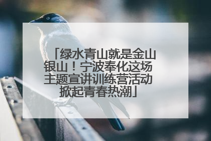 绿水青山就是金山银山！宁波奉化这场主题宣讲训练营活动掀起青春热潮