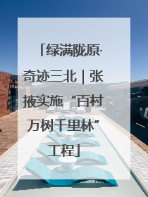 绿满陇原·奇迹三北｜张掖实施“百村万树千里林”工程