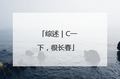 综述｜C一下，很长春