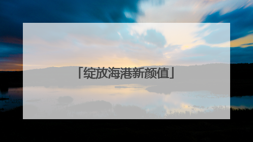 绽放海港新颜值