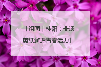组图｜桂阳：非遗剪纸邂逅青春活力