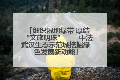 细织湿地绿带 厚结“文旅明珠”——中法武汉生态示范城挖掘绿色发展新动能