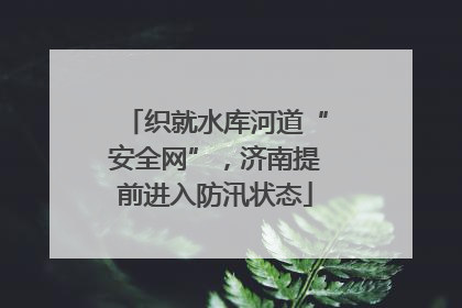 织就水库河道“安全网”，济南提前进入防汛状态