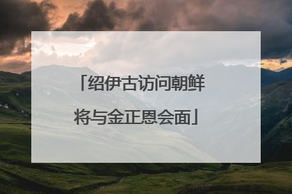 绍伊古访问朝鲜 将与金正恩会面