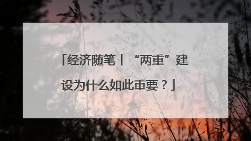 经济随笔丨“两重”建设为什么如此重要？