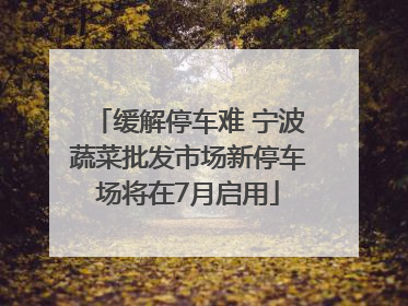 缓解停车难 宁波蔬菜批发市场新停车场将在7月启用