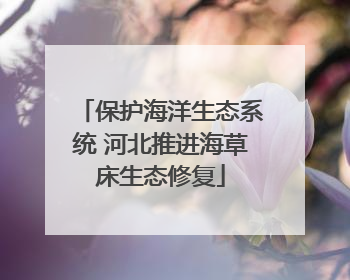 保护海洋生态系统 河北推进海草床生态修复