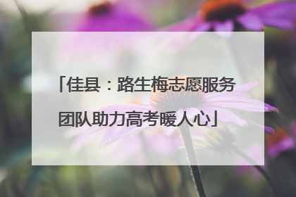 佳县：路生梅志愿服务团队助力高考暖人心