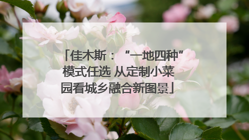 佳木斯：“一地四种” 模式任选 从定制小菜园看城乡融合新图景