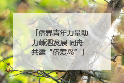 侨界青年力量助力嵊泗发展 同舟共建“侨爱岛”