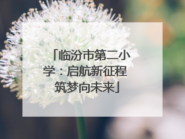 临汾市第二小学：启航新征程 筑梦向未来