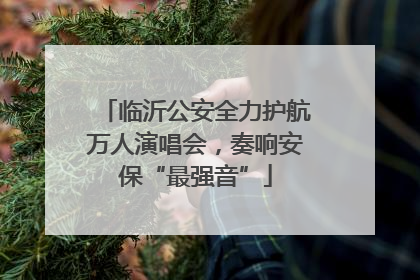 临沂公安全力护航万人演唱会，奏响安保“最强音”