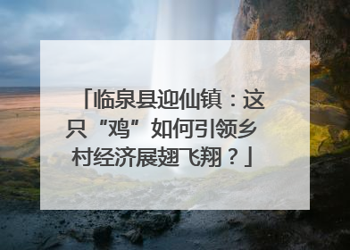 临泉县迎仙镇：这只“鸡”如何引领乡村经济展翅飞翔？