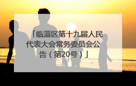 临淄区第十九届人民代表大会常务委员会公告（第20号）