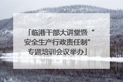 临港干部大讲堂暨“安全生产行政责任制”专题培训会议举办