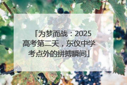 为梦而战：2025高考第二天，东仪中学考点外的拼搏瞬间