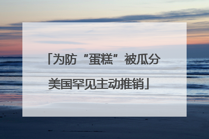 为防“蛋糕”被瓜分 美国罕见主动推销