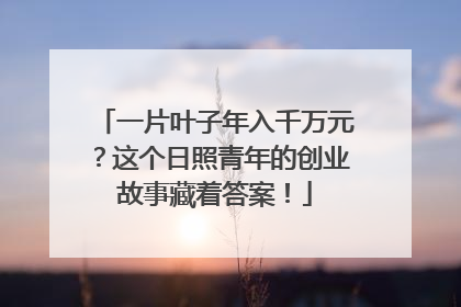 一片叶子年入千万元？这个日照青年的创业故事藏着答案！
