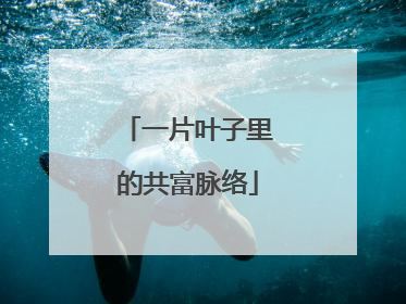 一片叶子里的共富脉络