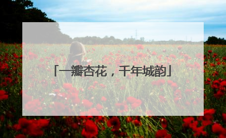 一瓣杏花，千年城韵
