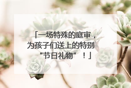 一场特殊的庭审，为孩子们送上的特别“节日礼物”！