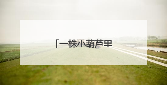 一株小葫芦里的育人智慧