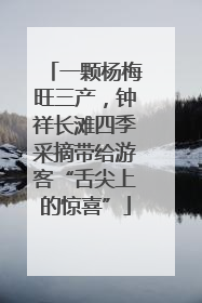 一颗杨梅旺三产，钟祥长滩四季采摘带给游客“舌尖上的惊喜”