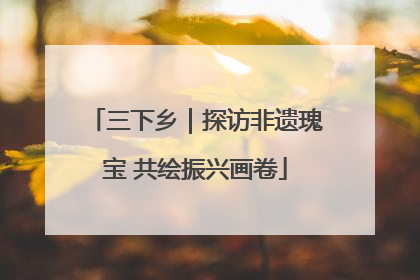 三下乡｜探访非遗瑰宝 共绘振兴画卷