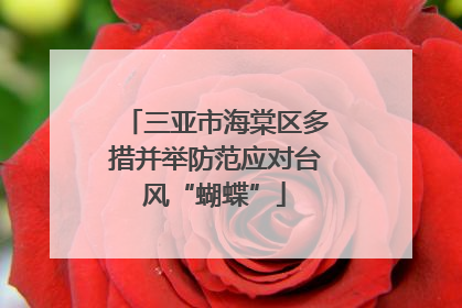 三亚市海棠区多措并举防范应对台风“蝴蝶”